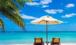 OIP-C (2).png OIP-C (2).png